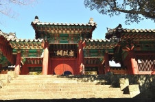 보약이지예... 통영 서호시장에서 먼저 만난 봄