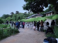 글만 쓰면 방송국에서 연락... 부여 셀럽이 됐습니다