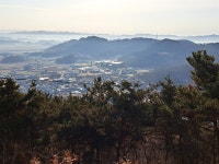 나라 잃은 한을 달래던 술, 과음하면 못 일어나요