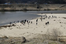 경북 고령  마지막 독수리식당... 독수리들아, 내년에 다시 만나자