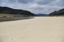 경북 고령  마지막 독수리식당... 독수리들아, 내년에 다시 만나자