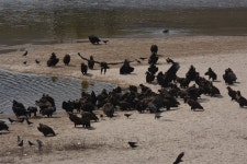 클라이밍 명소 우곡수리암장 수리부엉이는 어디로 갔을까?