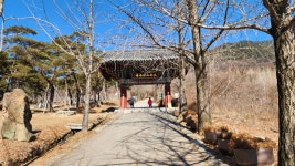 역사와 자연을 품은 영주에서의 힐링 여행