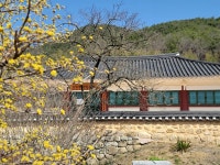 춘향전의 무대, 소설 <혼불>의 배경지