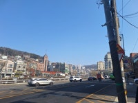 50년지기 친구들과 가성비 여행, 최고네요