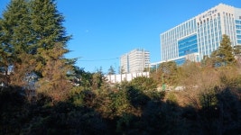 울산 옥동 주민들 코앞에서 빙상장 공사... 고통스럽다