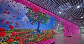 7만 그루 부천 원미산 진달래, 이번주에 활짝 핍니다