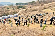 논산시민 400명, 편백나무 3000그루 심었다