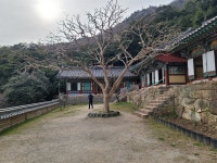 다산 정약용의 흔적을 따라 떠나는 봄나들이