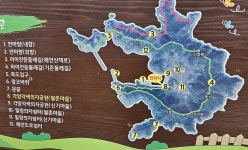 벼포기, 풀 뜯어 먹는 사슴떼... 아름다운 이 섬 안마도의 이면