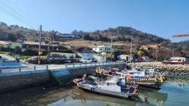 노란 유채꽃과 빨간 피아노가 있는 섬, 하화도