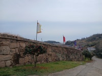 계엄으로 쌓인 스트레스, 발포 만호성 가니 싹 풀립니다