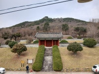 계엄으로 쌓인 스트레스, 발포 만호성 가니 싹 풀립니다