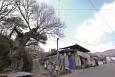 큰 마트에 상대 안 되지만...이 슈퍼가 사랑받는 이유