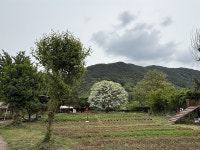 내  삶을 키워준  스승