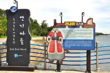 통영 바닷가마을 바닥에 쫙 깔린 이것의 정체