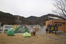 길목마다 옹기종기 놓인 쓰레기봉투가 던지는 질문