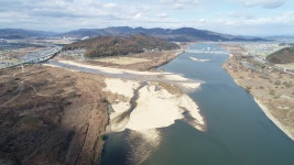 산란터를 잃은 물새들... 칠곡보 수위 내려야 하는 이유