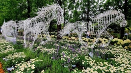 나만 알고 싶은 비밀정원... 관람 마치니 보약 지어먹은 기분