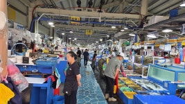 [사진] 주문진 어시장, 모처럼 활기