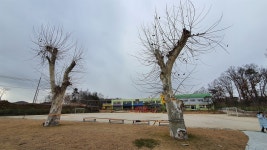 학교에서 벌어지는 끔찍한 죽음... 이게 교육 맞습니까