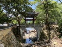 천은사 기둥에 매달린 멧돼지, 무슨 뜻인지 아세요?