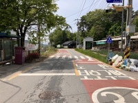 노인보호구역 31곳인데, 춘천 보행 사고는 그대로