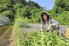 한국에서도 더 많은 사람들이 채식에 관심 가졌으면