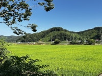 산골짜기 마을의 장마엔 안부 전화부터 쏟아집니다
