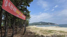 명사십리 삼척 원평해변은 왜 방치됐나