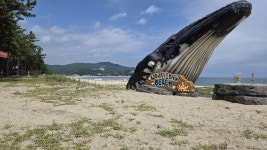 명사십리 삼척 원평해변은 왜 방치됐나