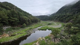 화장실 수도 손잡이도 떼어낸 강릉... 제한급수만 한다고 해결되나