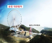 다른 데 다 있는 걸... 남해 미조면 송정 대관람차 유치 두고 시끌