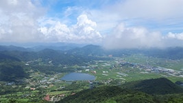 갯벌의 소고기, 벌교에 오믄 꼭 묵어봐야 혀