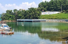 제철 맞은 갯장어를 먹으러 가다