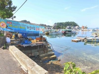 제철 맞은 갯장어를 먹으러 가다