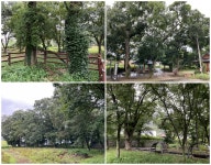 장화홍련 사건 파헤친 무관, 그가 태어난 곳에 남은 길