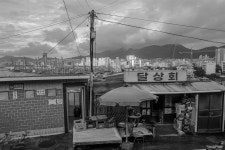 이 사진에서 사라진 것을 찾아보세요