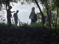 긴장 가득 킁킁 검문, 여시코빼기를 아시나요?