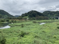 긴장 가득 킁킁 검문, 여시코빼기를 아시나요?