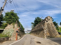 기후위기, 늦반딧불이가 점점 늦게 나오고 있다