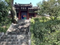 도자기 전쟁의 한 서린 백자, 눈을 뗄 수 없었다