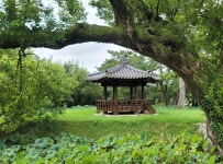 수원 집 옮겨 해남으로, 왕의 사랑이 서린 명당