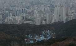 [사진] 콘크리트 숲과 푸른 지붕 사이, 물만골의 10년