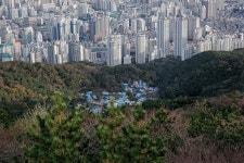 [사진] 콘크리트 숲과 푸른 지붕 사이, 물만골의 10년
