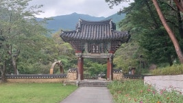 연곡사 의병 정신이 2020년대 조례로, 구례군 과거사 책임 나서다