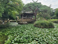 한글로 자연을 노래한 사람, 고산 윤선도를 찾아서