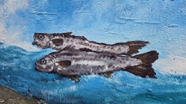 사라진 명태, 마을 골목에서 되살아나다