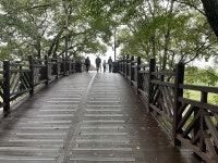 최치원의 천년 숲, 만든 이유가 놀랍습니다