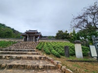 [사진] 결성 옛 동헌에 핀 가을 벚꽃